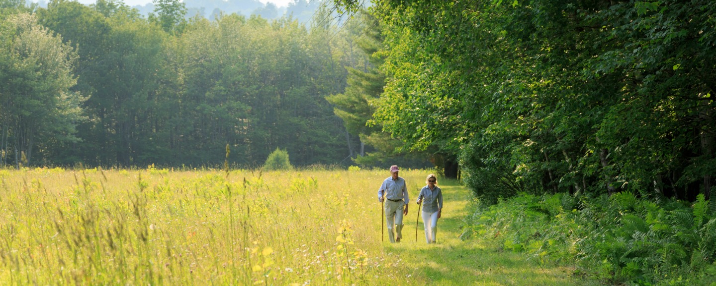 A couple walk along the edge of a field