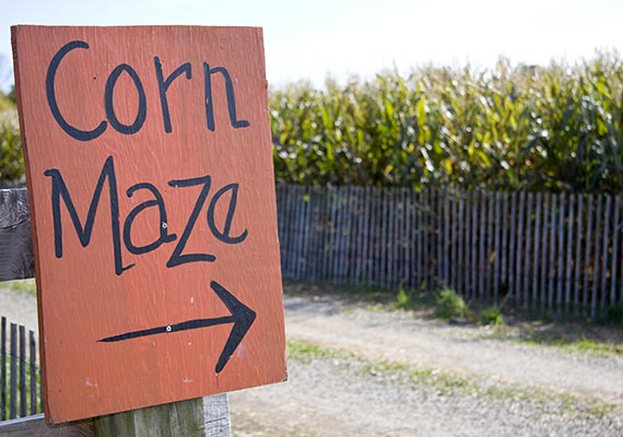 Corn Maze in Vermont - Fall Foliage Activities