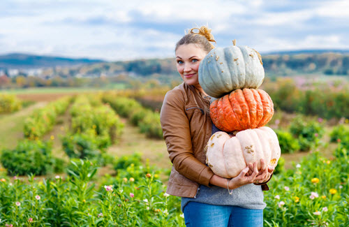 pumpkin-picking-in-vt